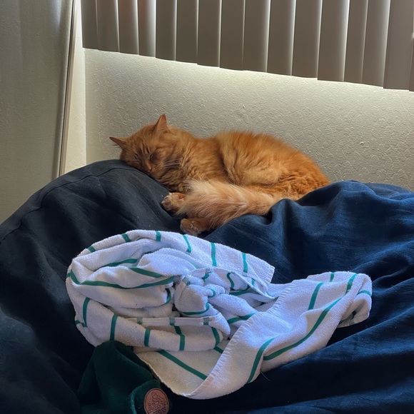 Meet your Posher, Freddy - Picture 6 of 12